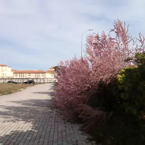 in-parco-naturale-con-accesso-diretto-alla-spiaggia.it-tuscanyhotel.com/